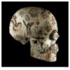 Tattoo Skull Side
