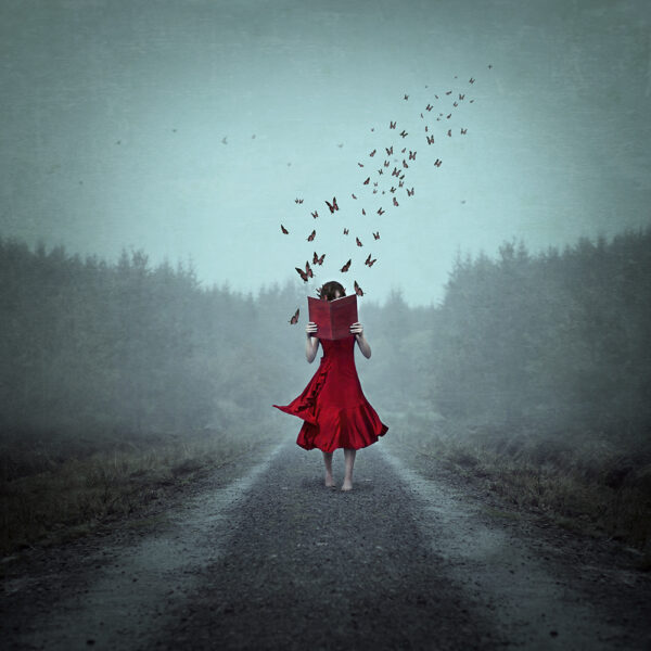Between The Pages