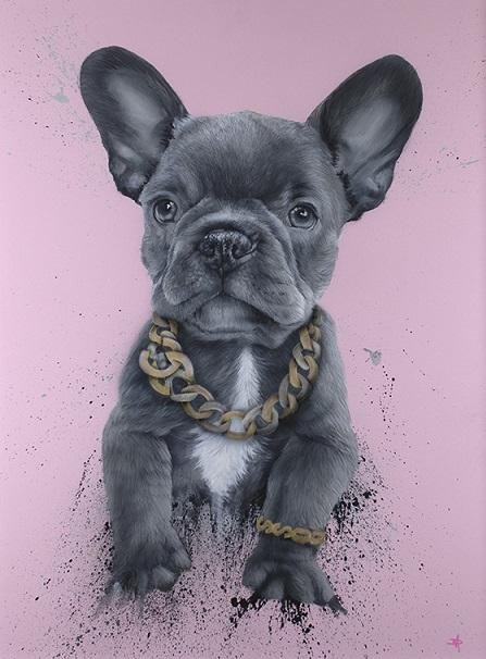 Privileged Pooch Privileged Pooch