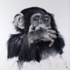Speak No Evil Speak No Evil