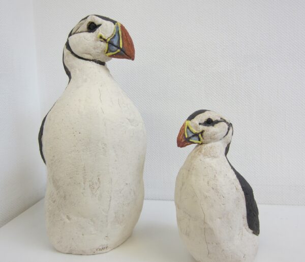 puffins