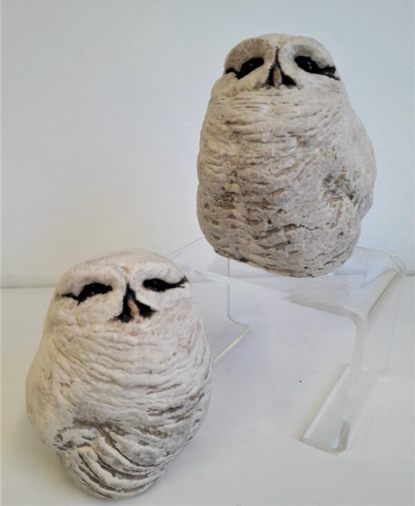 owlets