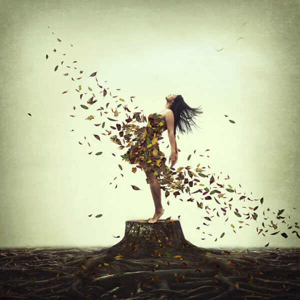 Everlasting Roots