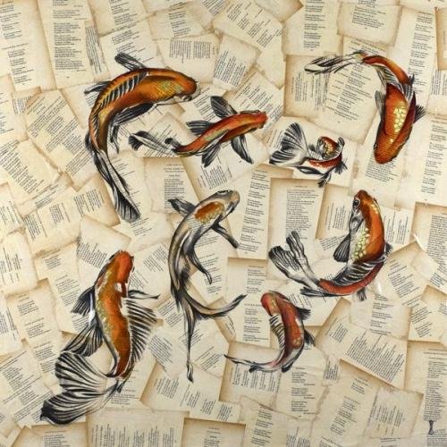 The Pond Koi Carp The Pond Koi Carp