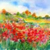poppy field