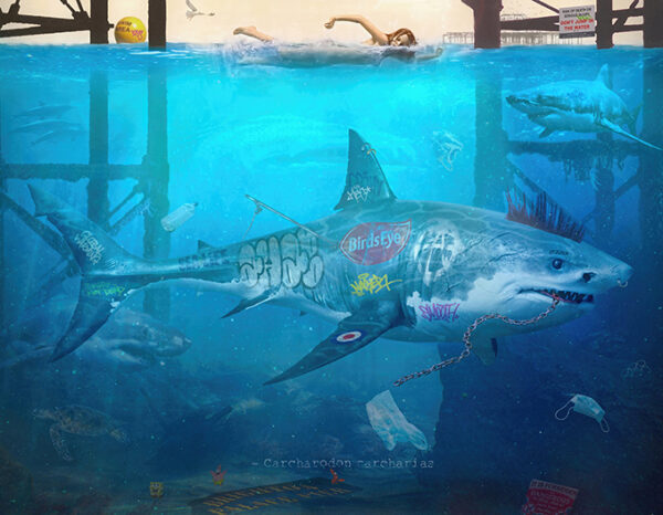 The Shark
