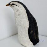 Tiny Penguin