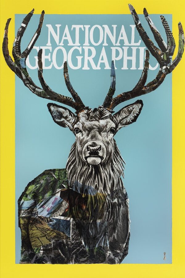 National Geographic National Geographic