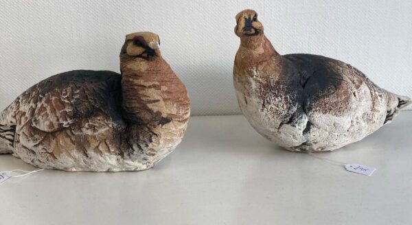 Grouse