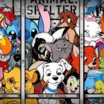 Animal Shelter