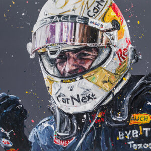 Max Verstappen F1 driver