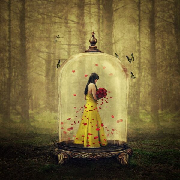 Until The Last Petal Falls Beauty and The Beast Until The Last Petal Falls