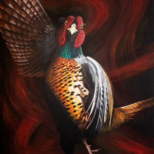 Picture of Pheasant