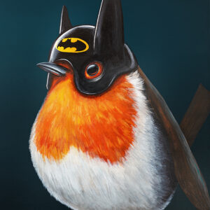 Picture of a robin