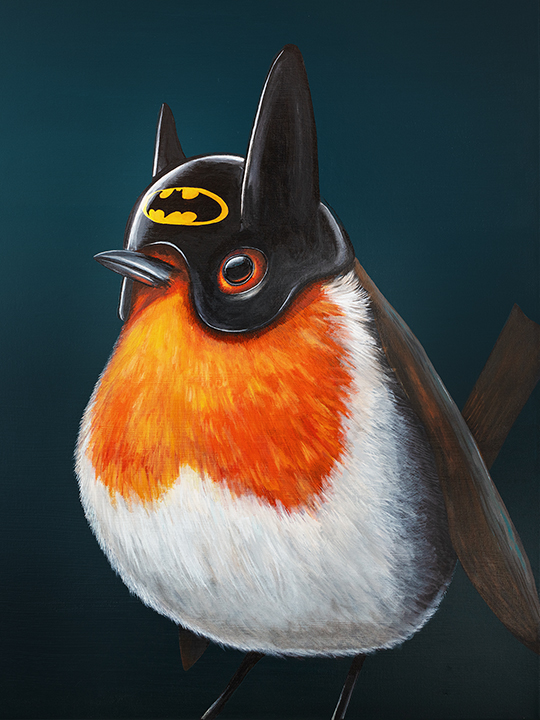 Nobody's sidekick Picture of a robin