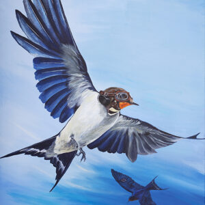 picture of a swallow