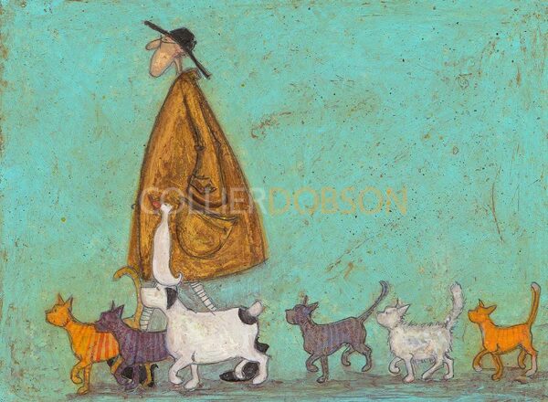 Cat Walk