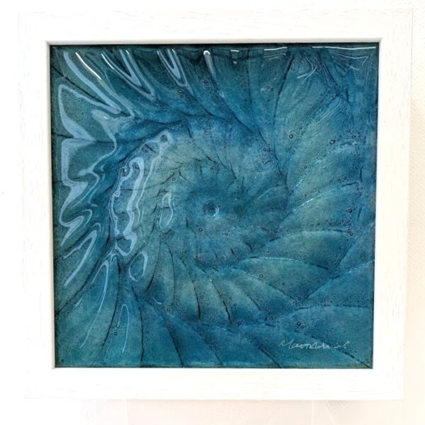 framed ammonite Spiral wall plaque textured glass