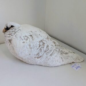 Dove Down
