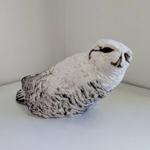 Small Snowy Owl