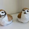 Tiny Owl Down Tiny Owls