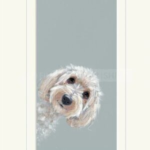 small white dog