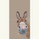 Donkey eating