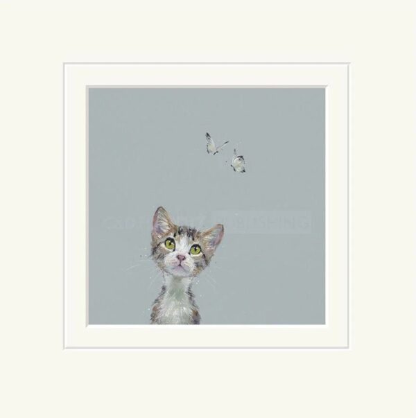 enchanted small kitten