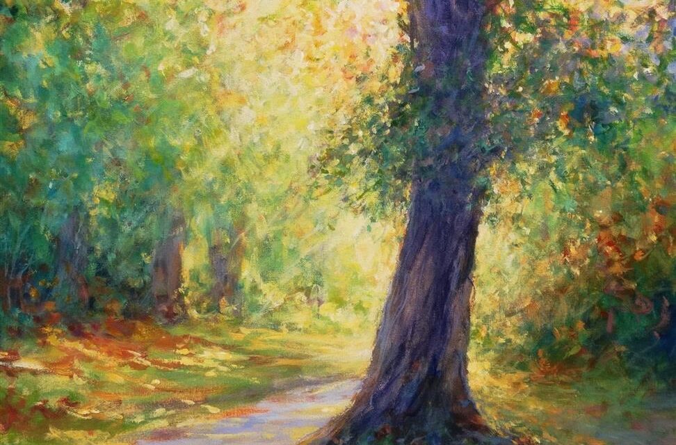 Under The Light Of An Oak Tree
