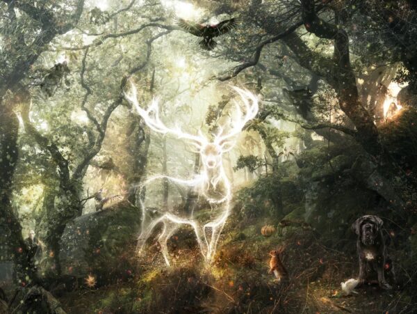 The Stag in the forbidden forrest in Harry Potter