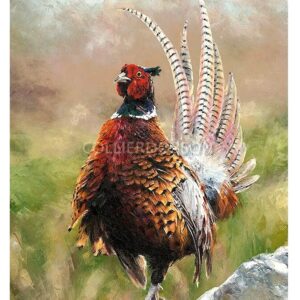 Pheasant