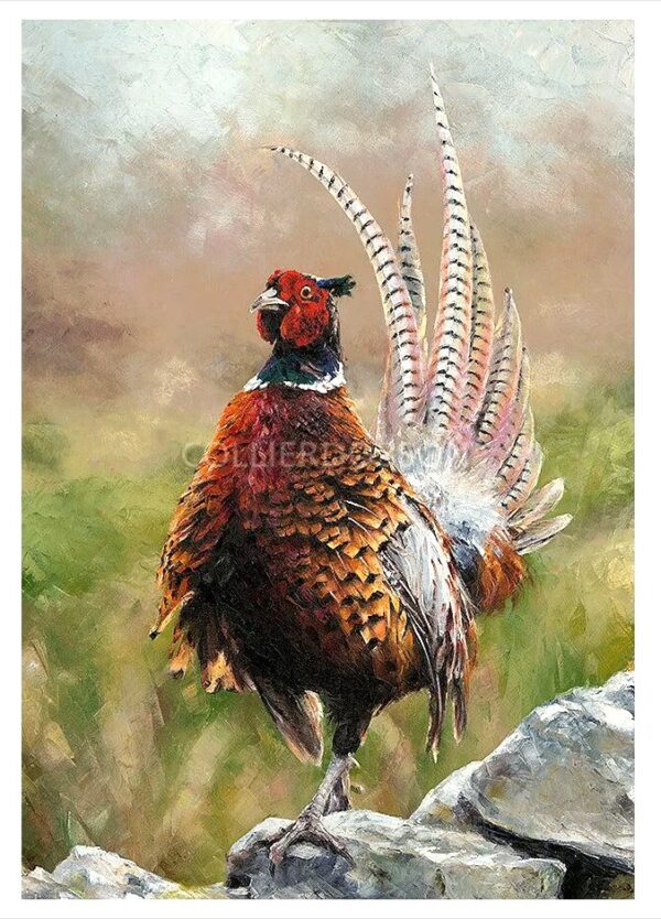 Pheasant