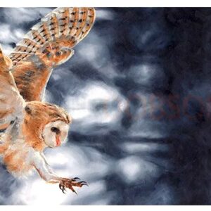 Barn owl in flight