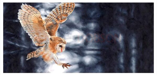 Barn owl in flight