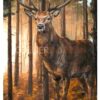 Picture of a Stag