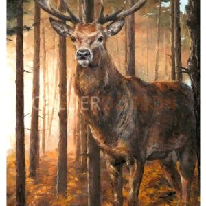 Picture of a Stag