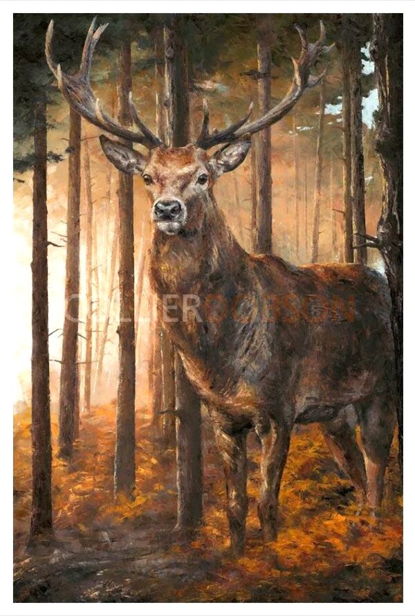 Picture of a Stag